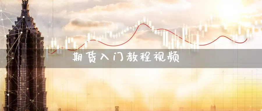 期货入门教程视频_https://www.51pinbao.com_纳指直播室_第1张