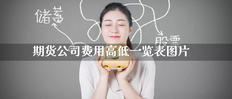 期货公司费用高低一览表图片_https://www.51pinbao.com_期货直播室_第1张