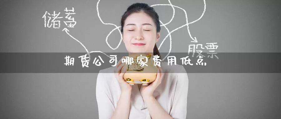 期货公司哪家费用低点_https://www.51pinbao.com_期货直播室_第1张