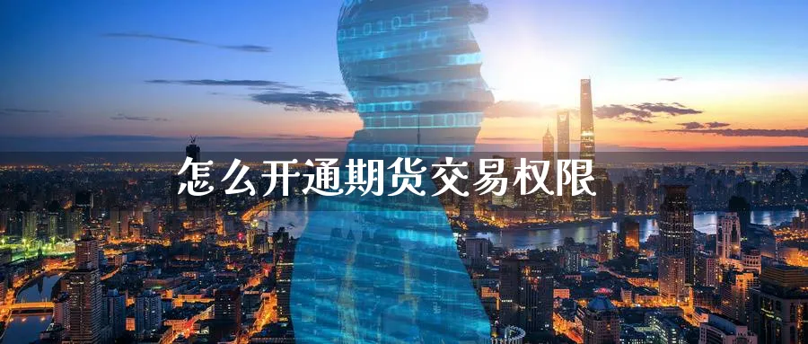 怎么开通期货交易权限_https://www.51pinbao.com_期货直播室_第1张