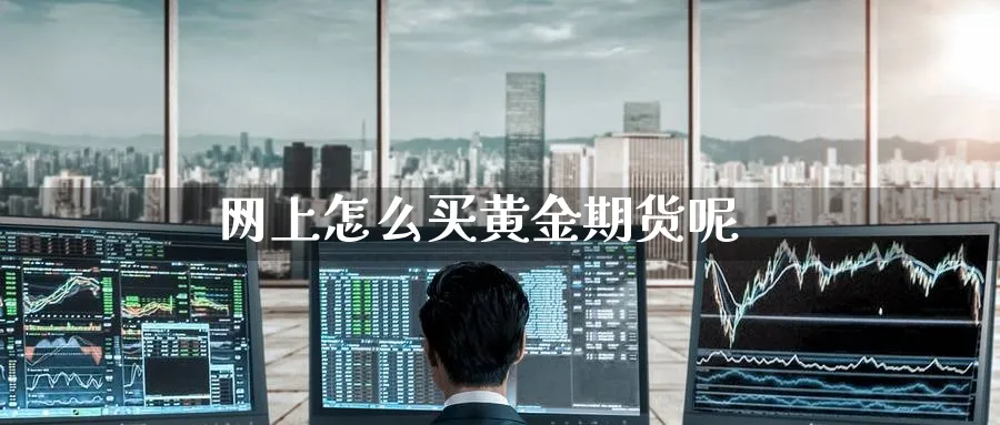 网上怎么买黄金期货呢_https://www.51pinbao.com_原油直播室_第1张