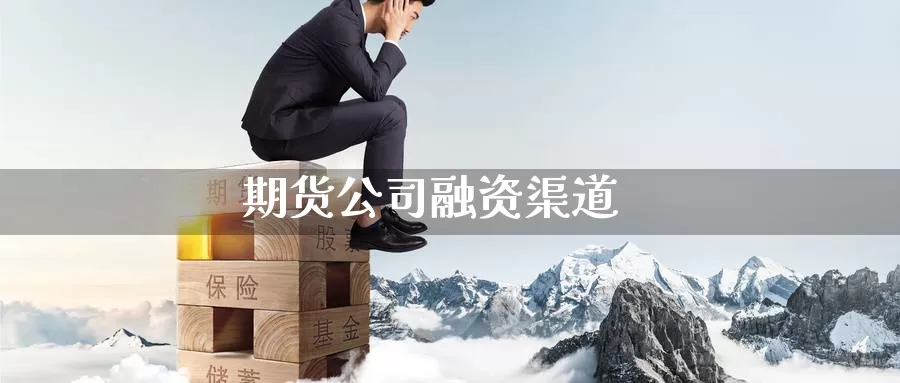 期货公司融资渠道_https://www.51pinbao.com_德指直播室_第1张