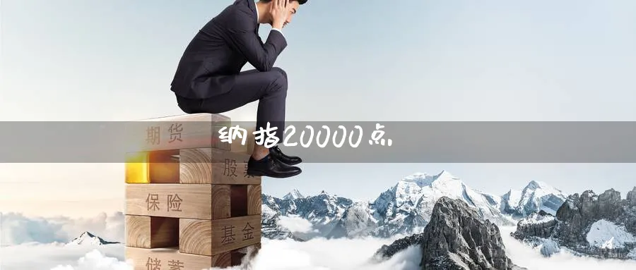 纳指20000点_https://www.51pinbao.com_纳指直播室_第1张