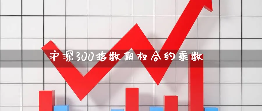 沪深300指数期权合约乘数_https://www.51pinbao.com_恒指直播室_第1张