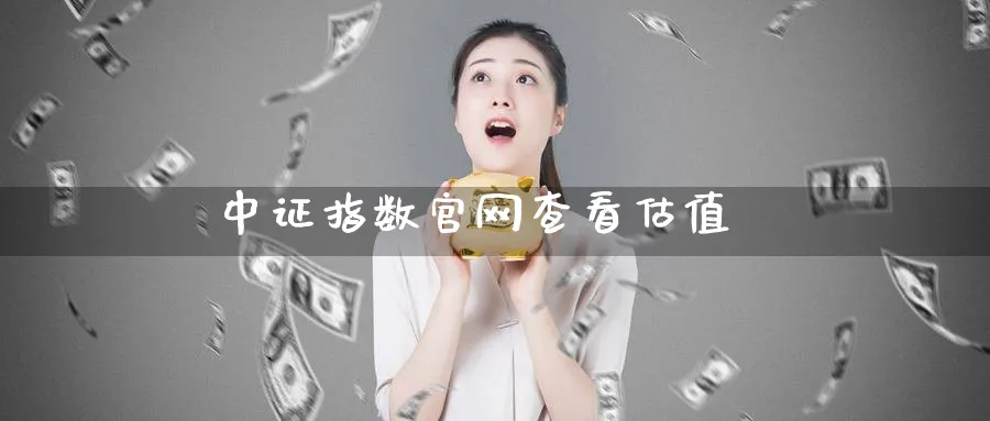 中证指数官网查看估值_https://www.51pinbao.com_期货直播室_第1张