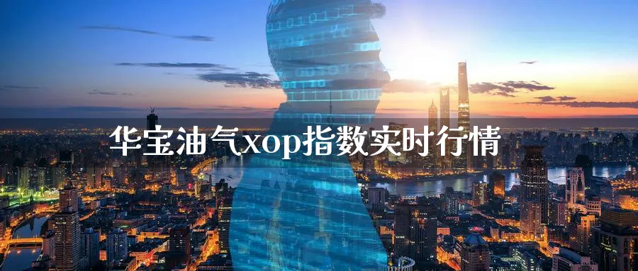 华宝油气xop指数实时行情_恒指直播室_第1张_51期货直播网 华宝油气xop指数实时行情_https://www.51pinbao.com_恒指直播室_第1张