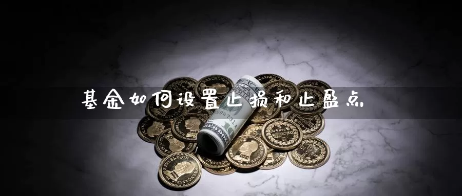 基金如何设置止损和止盈点_https://www.51pinbao.com_期货直播室_第1张