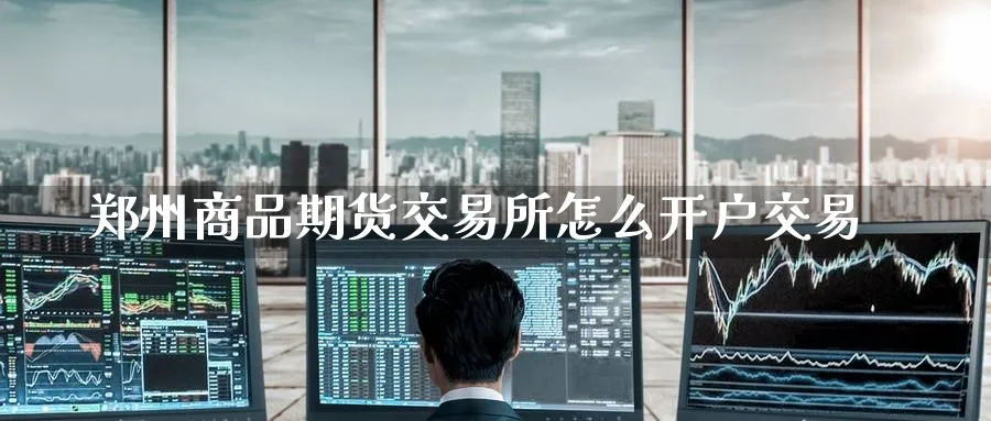 郑州商品期货交易所怎么开户交易_德指直播室_第1张_51期货直播网 郑州商品期货交易所怎么开户交易_https://www.51pinbao.com_德指直播室_第1张