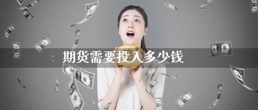 期货需要投入多少钱_https://www.51pinbao.com_纳指直播室_第1张