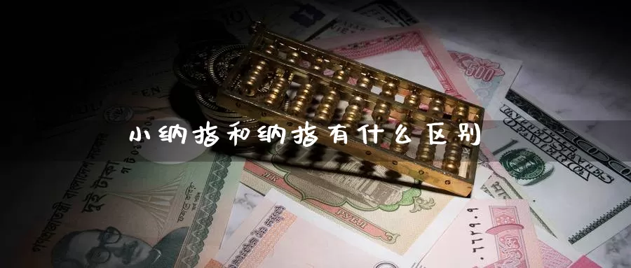 小纳指和纳指有什么区别_https://www.51pinbao.com_期货直播室_第1张