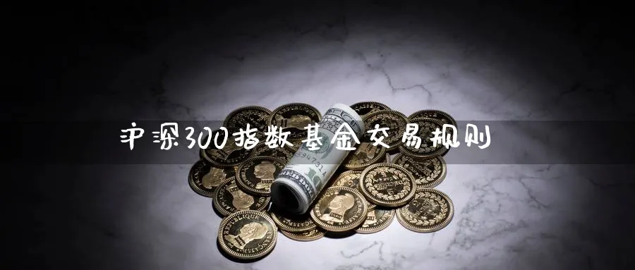 沪深300指数基金交易规则_https://www.51pinbao.com_恒指直播室_第1张