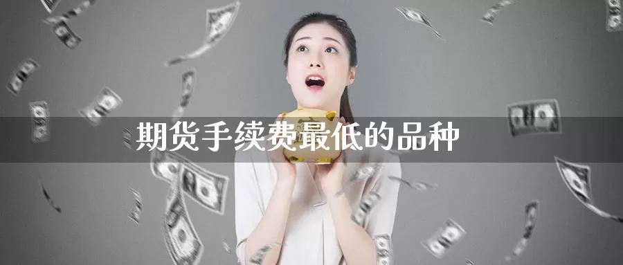 期货手续费最低的品种_https://www.51pinbao.com_期货直播室_第1张