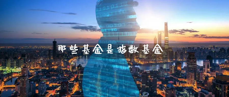 那些基金是指数基金_期货直播室_第1张_51期货直播网 那些基金是指数基金_https://www.51pinbao.com_期货直播室_第1张