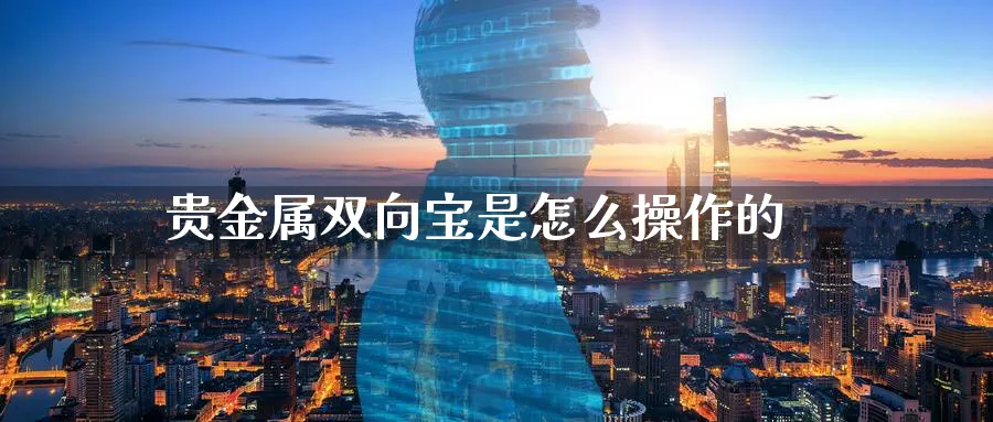 贵金属双向宝是怎么操作的_https://www.51pinbao.com_原油直播室_第1张