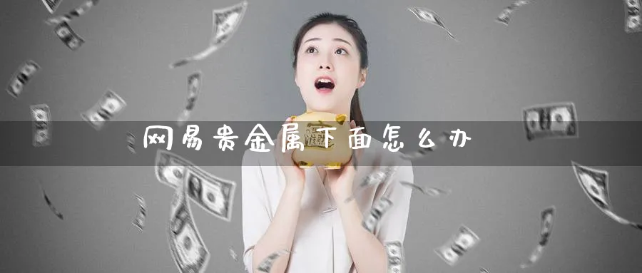 网易贵金属下面怎么办_https://www.51pinbao.com_期货直播室_第1张