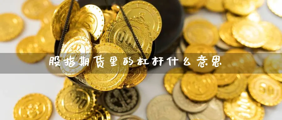 股指期货里的杠杆什么意思_https://www.51pinbao.com_恒指直播室_第1张