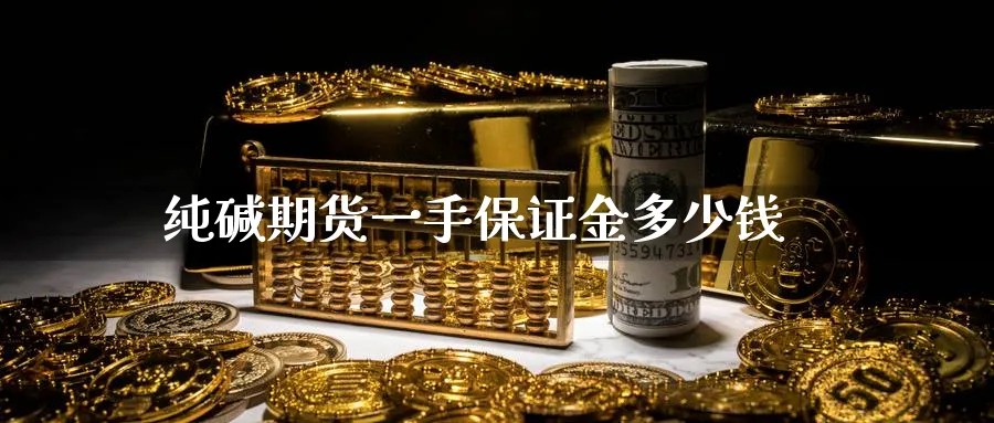 纯碱期货一手保证金多少钱_纳指直播室_第1张_51期货直播网 纯碱期货一手保证金多少钱_https://www.51pinbao.com_纳指直播室_第1张