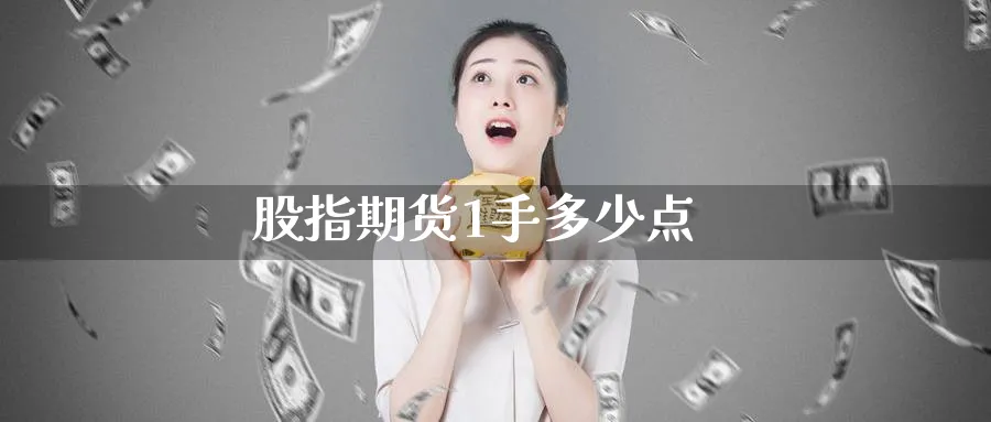 股指期货1手多少点_期货直播室_第1张_51期货直播网 股指期货1手多少点_https://www.51pinbao.com_期货直播室_第1张