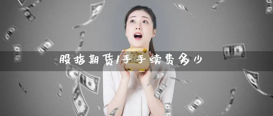股指期货1手手续费多少_https://www.51pinbao.com_恒指直播室_第1张