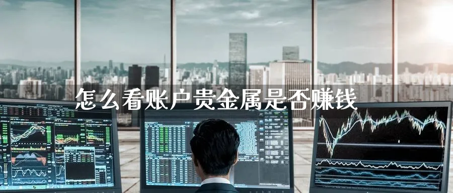怎么看账户贵金属是否赚钱_https://www.51pinbao.com_纳指直播室_第1张