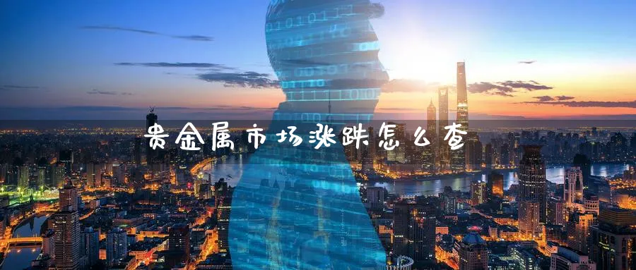 贵金属市场涨跌怎么查_https://www.51pinbao.com_原油直播室_第1张