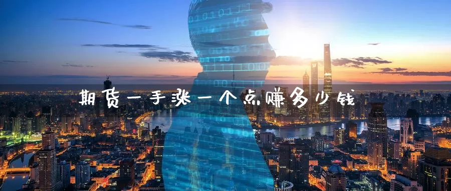 期货一手涨一个点赚多少钱_https://www.51pinbao.com_纳指直播室_第1张