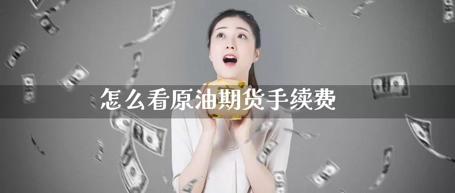 怎么看原油期货手续费_https://www.51pinbao.com_纳指直播室_第1张