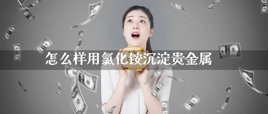 怎么样用氯化铵沉淀贵金属_https://www.51pinbao.com_恒指直播室_第1张