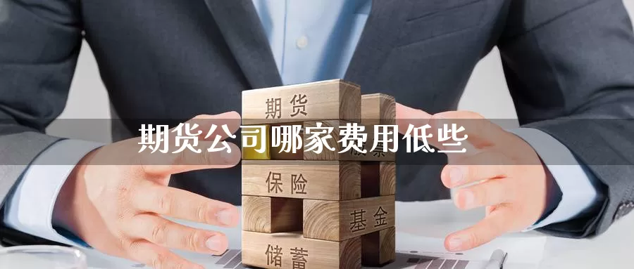 期货公司哪家费用低些_https://www.51pinbao.com_黄金直播室_第1张