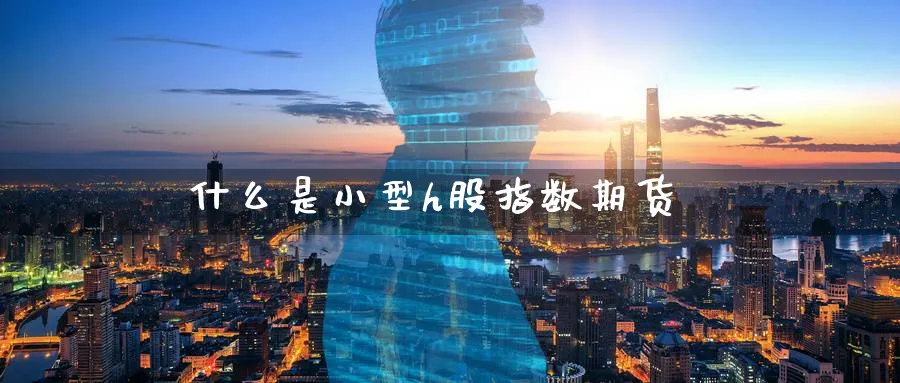 什么是小型h股指数期货_https://www.51pinbao.com_恒指直播室_第1张