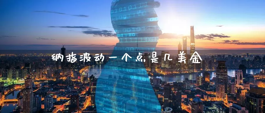 纳指波动一个点是几美金_https://www.51pinbao.com_德指直播室_第1张