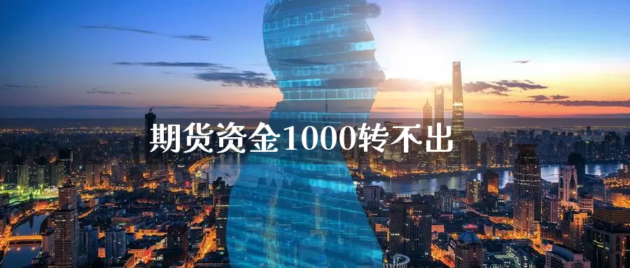 期货资金1000转不出_https://www.51pinbao.com_恒指直播室_第1张