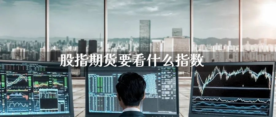 股指期货要看什么指数_https://www.51pinbao.com_恒指直播室_第1张