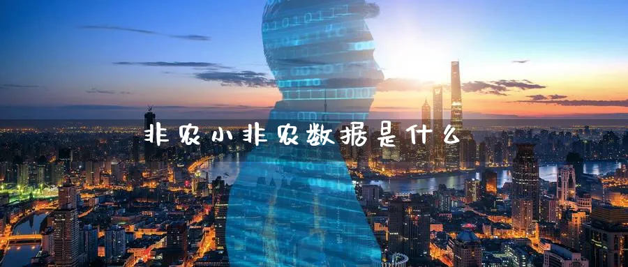 非农小非农数据是什么_https://www.51pinbao.com_恒指直播室_第1张