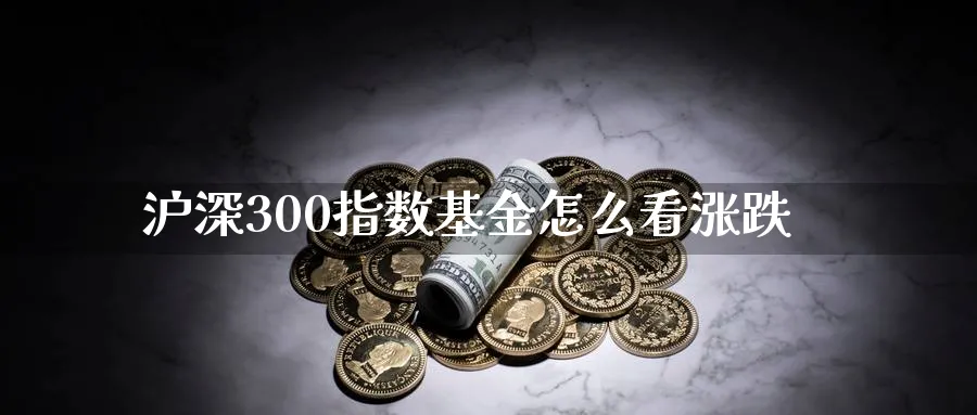 沪深300指数基金怎么看涨跌_https://www.51pinbao.com_恒指直播室_第1张