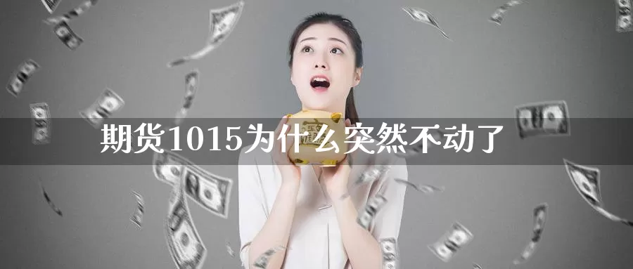 期货1015为什么突然不动了_恒指直播室_第1张_51期货直播网 期货1015为什么突然不动了_https://www.51pinbao.com_恒指直播室_第1张