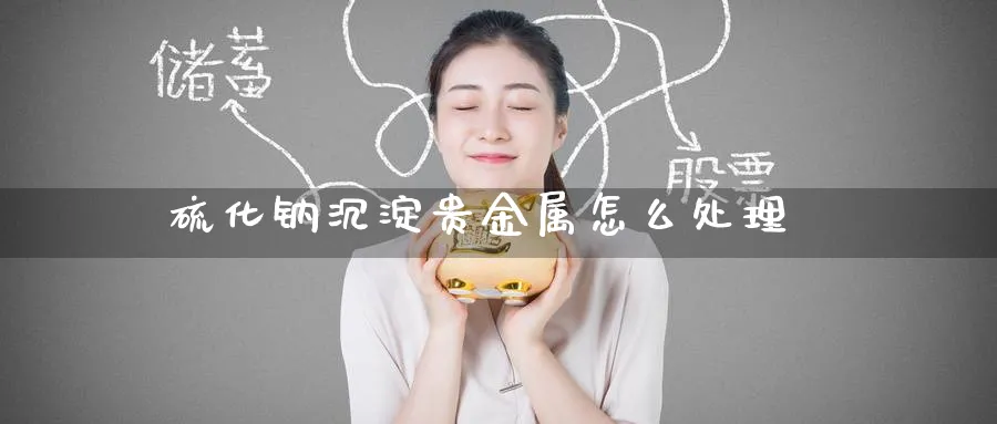 硫化钠沉淀贵金属怎么处理_https://www.51pinbao.com_原油直播室_第1张