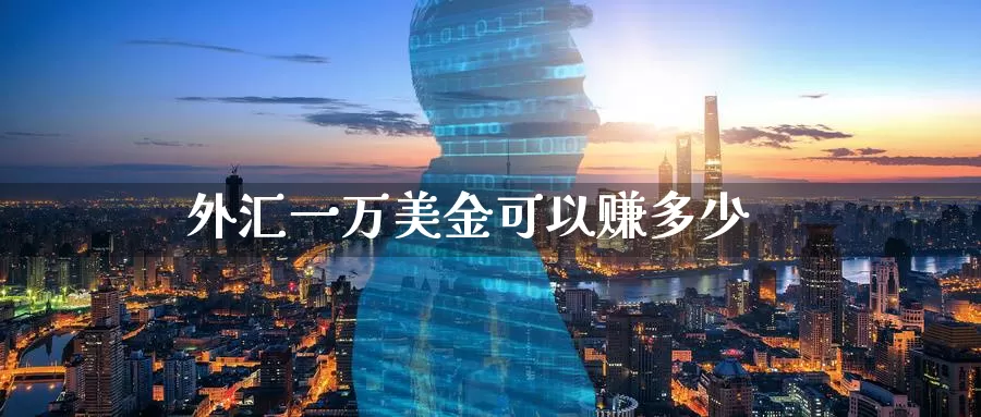 外汇一万美金可以赚多少_https://www.51pinbao.com_德指直播室_第1张