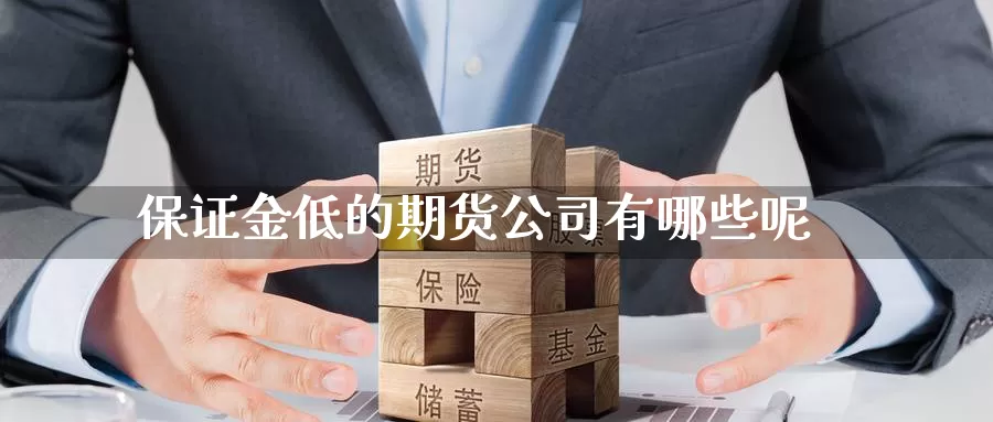 保证金低的期货公司有哪些呢_https://www.51pinbao.com_期货直播室_第1张