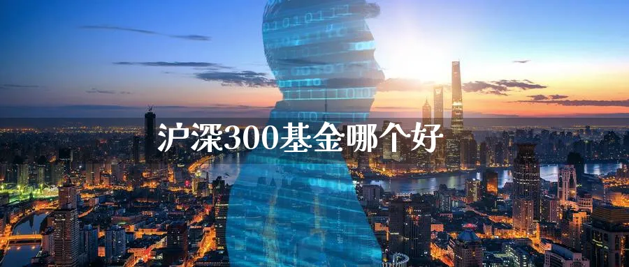 沪深300基金哪个好_https://www.51pinbao.com_纳指直播室_第1张