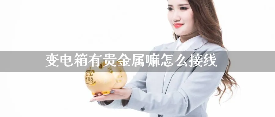 变电箱有贵金属嘛怎么接线_https://www.51pinbao.com_恒指直播室_第1张