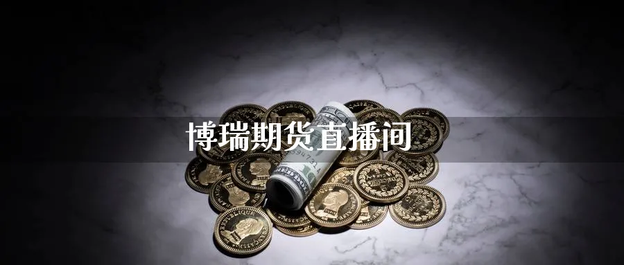 博瑞期货直播间_https://www.51pinbao.com_恒指直播室_第1张