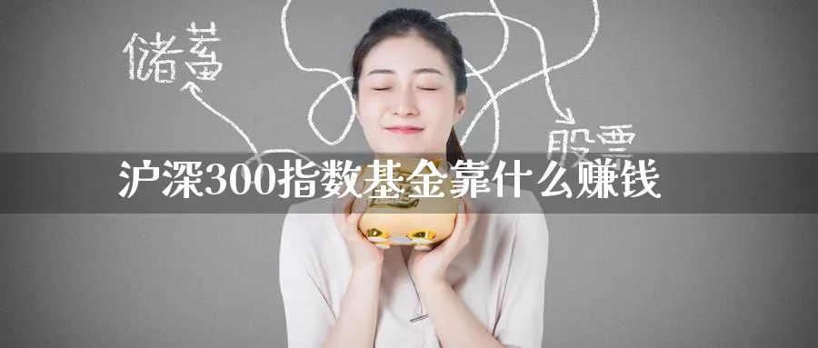 沪深300指数基金靠什么赚钱_https://www.51pinbao.com_恒指直播室_第1张