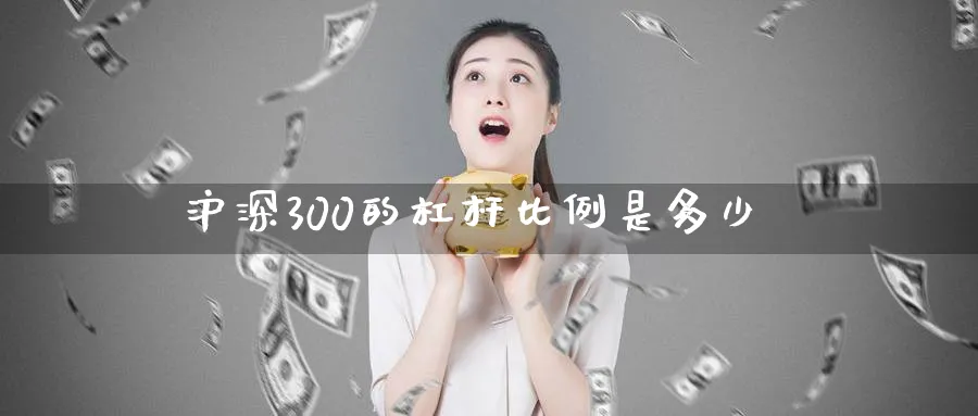沪深300的杠杆比例是多少_https://www.51pinbao.com_纳指直播室_第1张