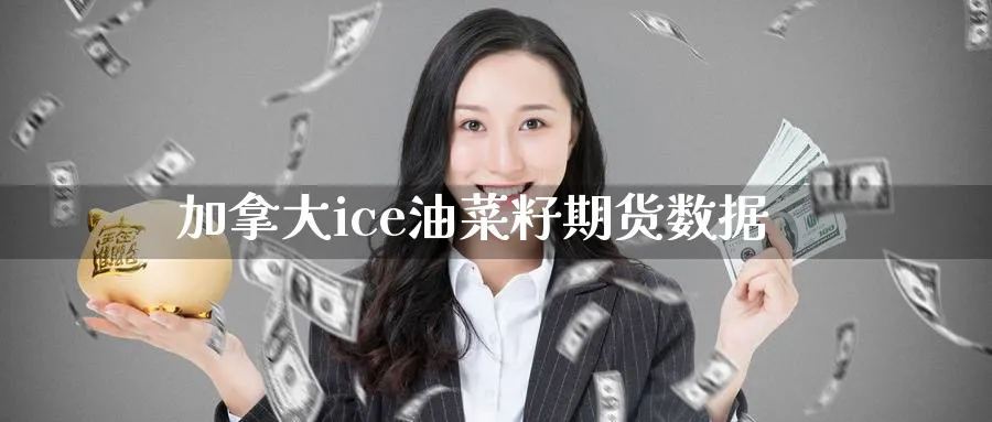 加拿大ice油菜籽期货数据_原油直播室_第1张_51期货直播网 加拿大ice油菜籽期货数据_https://www.51pinbao.com_原油直播室_第1张