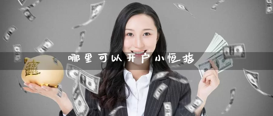 哪里可以开户小恒指_https://www.51pinbao.com_期货直播室_第1张