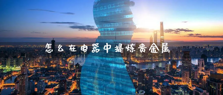 怎么在电器中提炼贵金属_https://www.51pinbao.com_恒指直播室_第1张