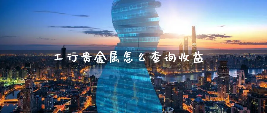 工行贵金属怎么查询收益_https://www.51pinbao.com_恒指直播室_第1张