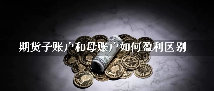 期货子账户和母账户如何盈利区别_https://www.51pinbao.com_德指直播室_第1张