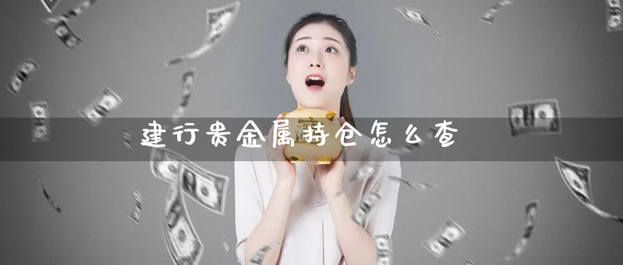 建行贵金属持仓怎么查_https://www.51pinbao.com_期货直播室_第1张